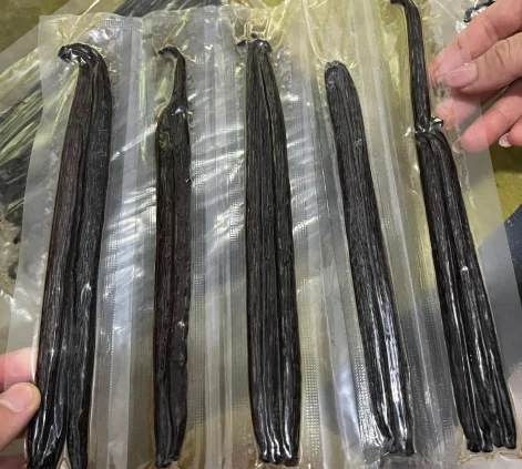 "Premium gourmet Planifolia vanilla beans with oily texture from Indonesian supplier"