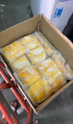 Frozen mango export quality Indonesian fruit exporter