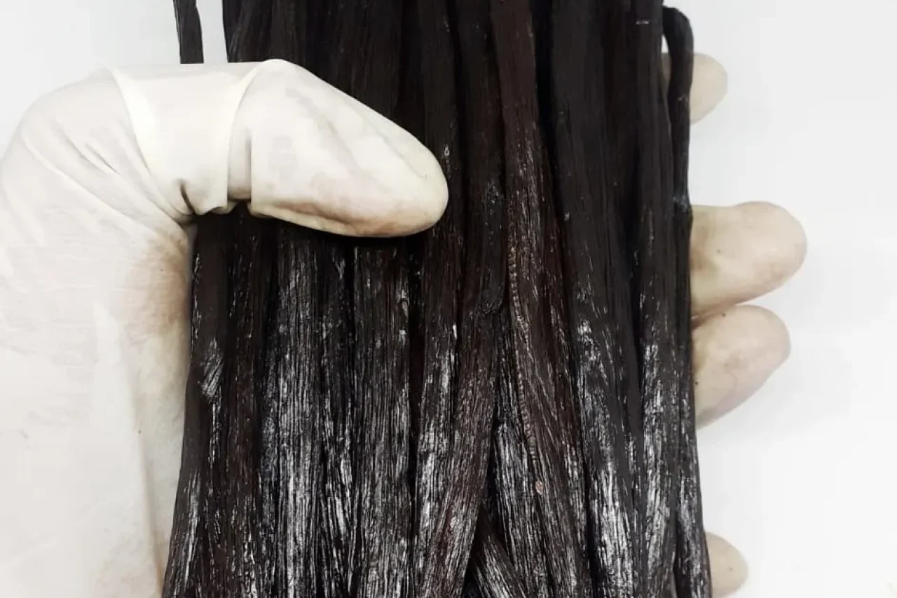 Premium vanilla beans Indonesian spices exporter