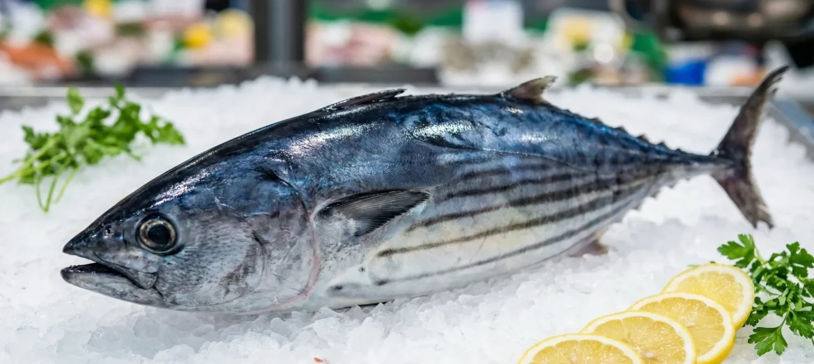 Gemini_Generated_Image_9t3jj69t3jj69t3j