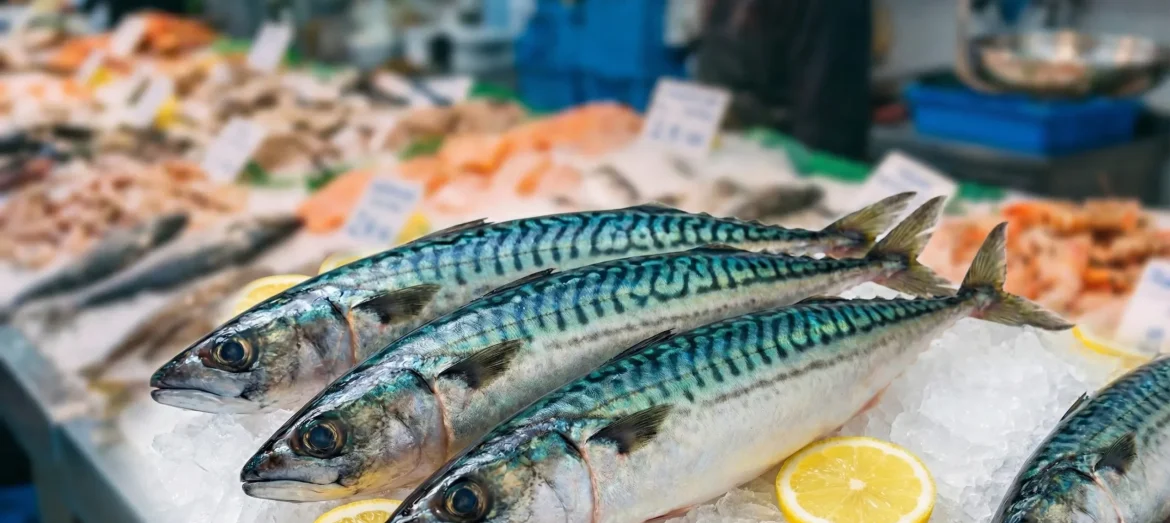 Gemini_Generated_Image_dw5ao1dw5ao1dw5a