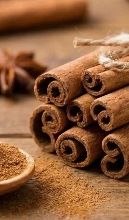 Gemini_Generated_Image_up8004up8004up80