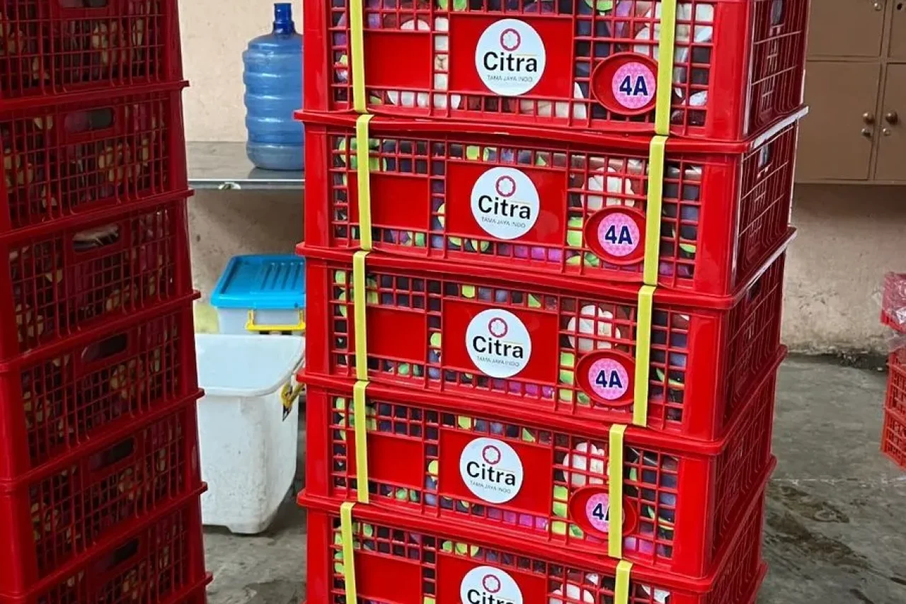 Premium mangosteen from Indonesian fruit exporter Citra Tama Jaya Indo