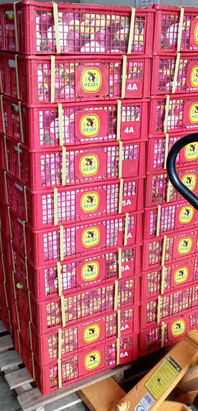 Fresh mangosteen export from Indonesia to China