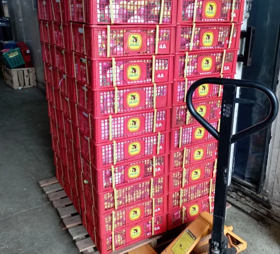 Fresh mangosteen export from Indonesia to China