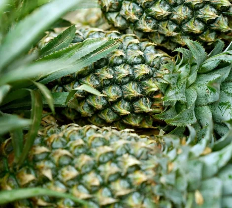 pineapple-8440180_1280